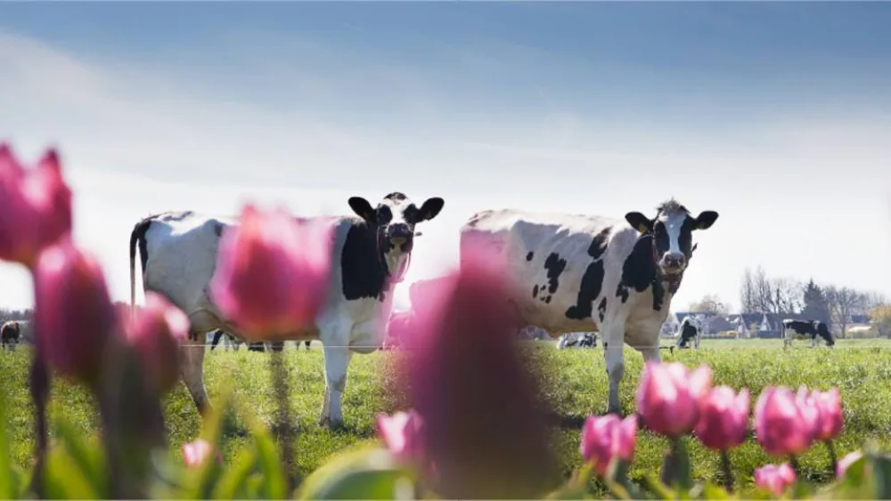 FrieslandCampina Hellas: 5.000.000 ποτήρια γάλα ΝΟΥΝΟΥ για τα Παιδιά