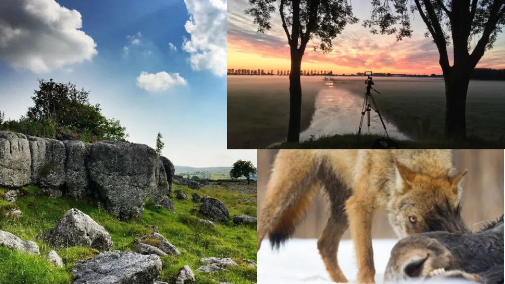 ​Το Viasat Nature σε ταξιδεύει σε μια άγρια και υπέροχη περιπέτεια στην άγρια φύση της Ευρώπης