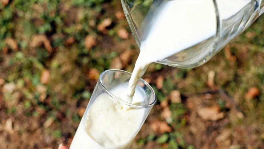 Επ. Αρκαδίας; Αύριο το Θεματικό Εργαστήριο ««Γάλα – Γαλακτοκομικά»
