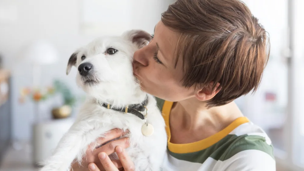 ​Πέντε​ συμβουλές για ασφαλή ταξίδια με κατοικίδια​