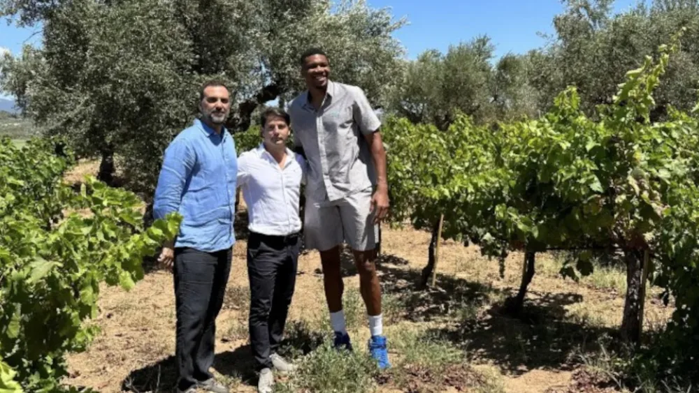 Αντετοκούνμπο και Premia εξαγόρασαν το Village Cinema Ρέντη - ποιοι συμμετέχουν σε joint venture