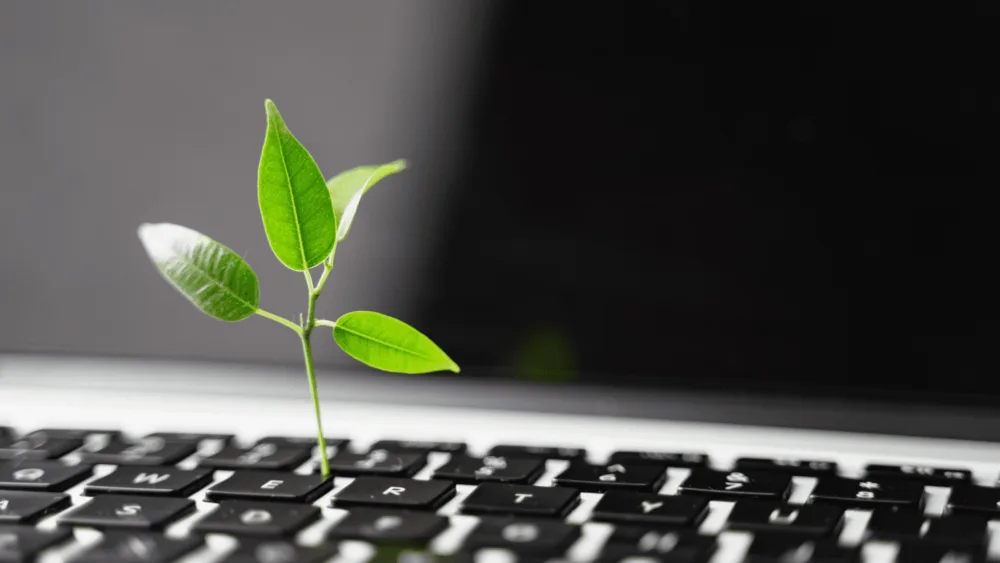 Digital Marketing & Βιωσιμότητα: Από τις καμπάνιες πωλήσεων στις καμπάνιες αξιών