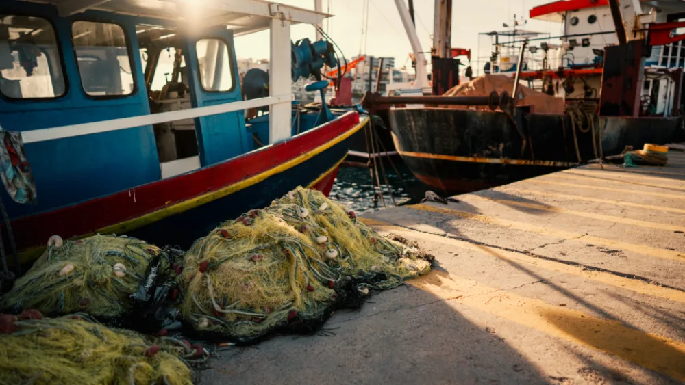 Η Ferryscanner και η Εναλεία συμπληρώνουν έναν χρόνο συνεργασίας για καθαρότερες θάλασσες