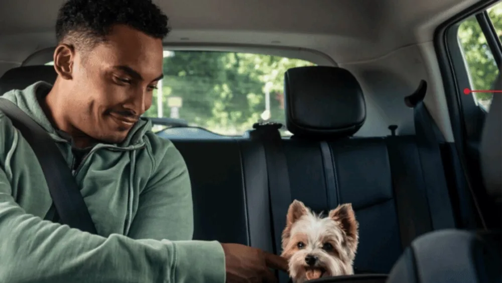 Το Uber Taxi Pet έρχεται στην Ελλάδα - Οι επιβάτες μπορούν να μετακινούνται πλέον μαζί με τα κατοικίδιά τους