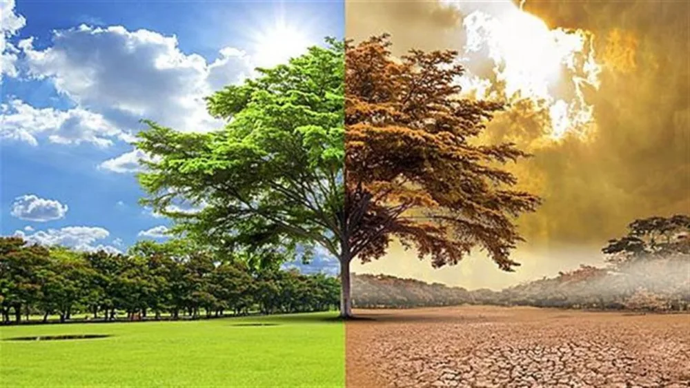 Κλιματική Κρίση και COP: ας σταθούμε μπροστά στον καθρέφτη