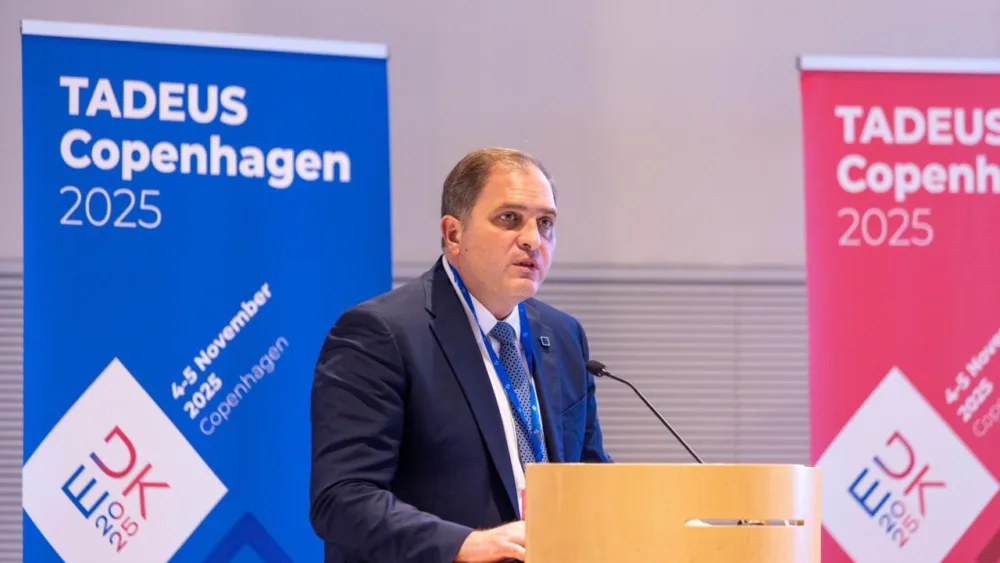 3 βασικά σημεία για τις φορολογικές διοικήσεις της Ε.Ε - παρουσίαση Πιτσιλή