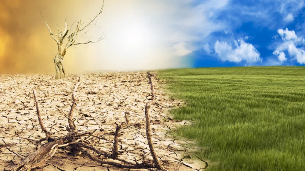 Ημερίδα «Climate Action 2025» από την ΕΕΠΦ την Τρίτη 2 Δεκεμβρίου 2025 στο Ίδρυμα Βασίλη & Μαρίνας Θεοχαράκη