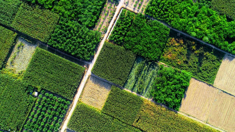 Βιώσιμη γεωργία: Η μετάβαση ξεκινά από το χωράφι