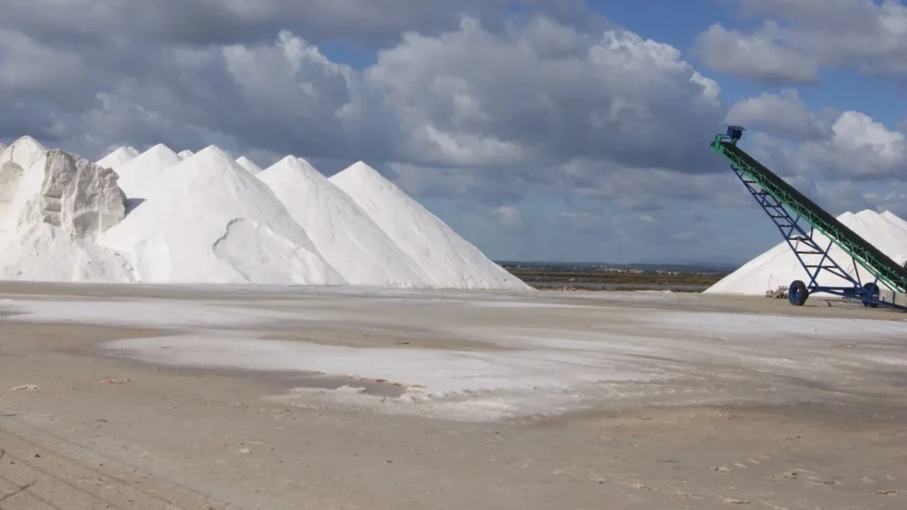 Υπερταμείο: Ενδιαφέρον από 9 επενδυτικά σχήματα για την απόκτηση πλειοψηφικού ποσοστού συμμετοχής στο μετοχικό κεφάλαιο της ΕΛΛΗΝΙΚΕΣ ΑΛΥΚΕΣ Α.Ε.
