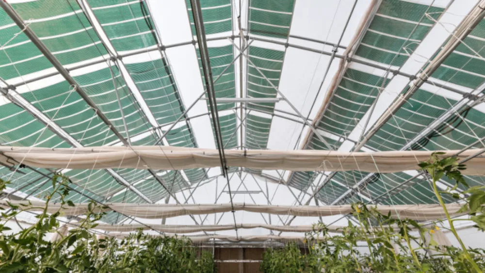 Η ελληνική καινοτομία της OET Energy Technologies: Αγροβολταϊκά που… καλλιεργούν κέρδος