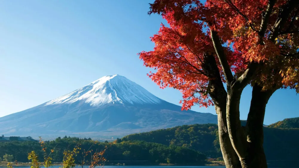 Η Ιαπωνία Τιμώμενη Χώρα στην 90ή ΔΕΘ