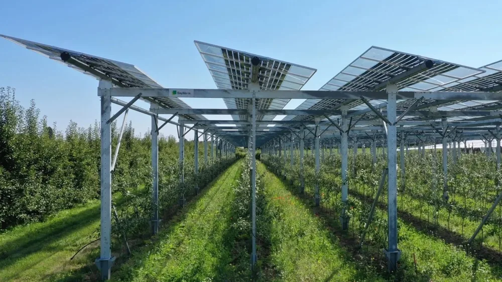 Η Πειραιώς ενισχύει τις επενδύσεις σε αγροφωτοβολταϊκούς σταθμούς