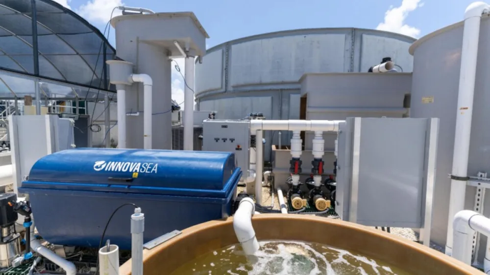 Η Innovasea ανανεώνει την εταιρική της ταυτότητα και εμπλουτίζει την ηγετική της ομάδα, η οποία θα καθοδηγήσει την εταιρεία στη νέα φάση ανάπτυξης