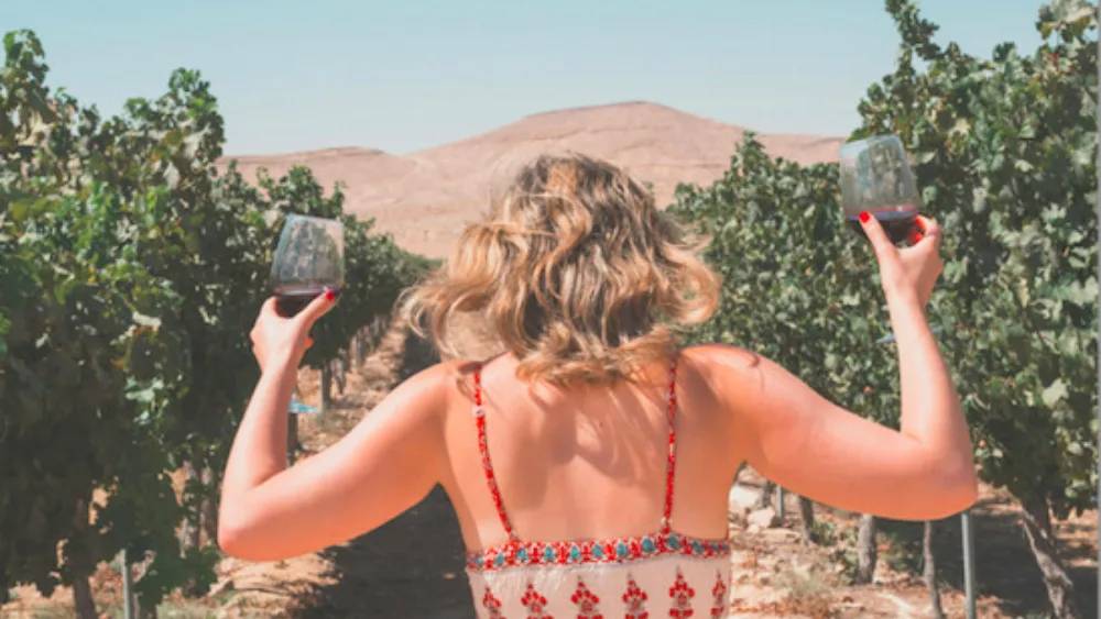 Wine on Board: Πώς να ταξιδέψουμε μαζί με μερικά μπουκάλια καλό κρασί