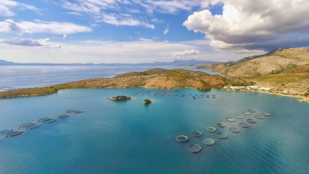 Η καναδική Cooke προχωρά σε προκαταρκτική συμφωνία για την απόκτηση του χρέους της Avramar Ελλάδας