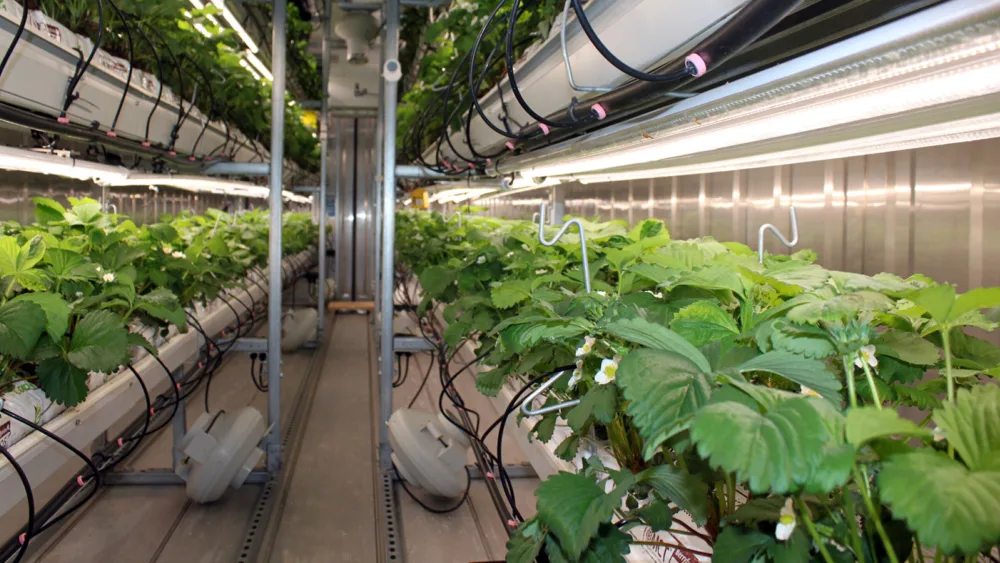 Θερμοκήπια μέσα σε κοντέινερ: Η επανάσταση στην παραγωγή τροφίμων στις πόλεις