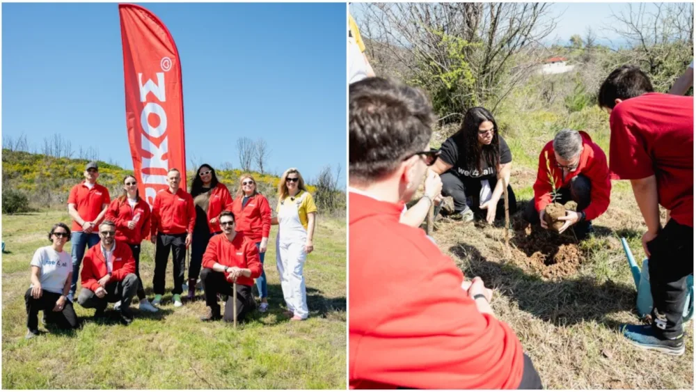 ΒΙΚΟΣ: Υλοποίησε 2 στοχευμένες πρωτοβουλίες δενδροφύτευσης - 2.000 νέα δέντρα από σε Χίο και Βόρεια Εύβοια