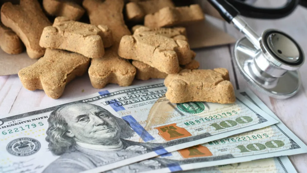 «Pet Economy»: Τα premium προϊόντα διατροφής, το pet sitting, τα luxury hotels & οι ασφαλιστικές υπηρεσίες για κατοικίδια ζώα