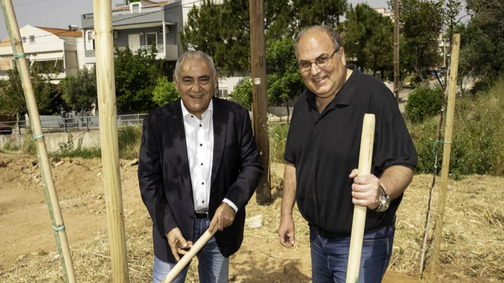 Το Επαγγελματικό Επιμελητήριο «πρασινίζει» το Χαλάνδρι υλοποιώντας νέα δενδροφύτευση