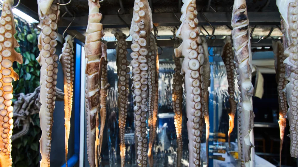 Νέα χρηματοδότηση για την αλιεία ανακοίνωσε ο Μ. Σχοινάς από την Ιχθυόσκαλα Κερατσινίου