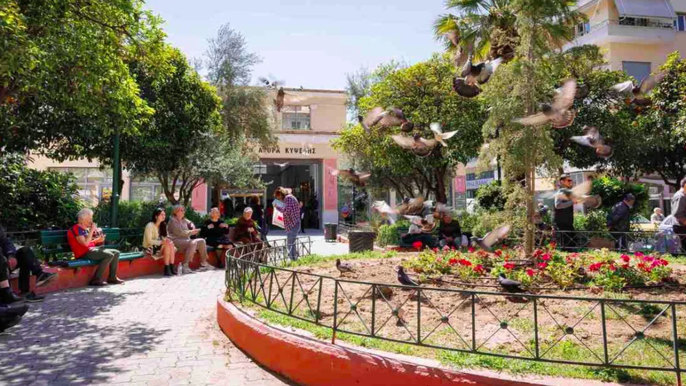 Blooming Kypseli: Μια ανθισμένη περιήγηση στους πάγκους της Δημοτικής Αγοράς Κυψέλης