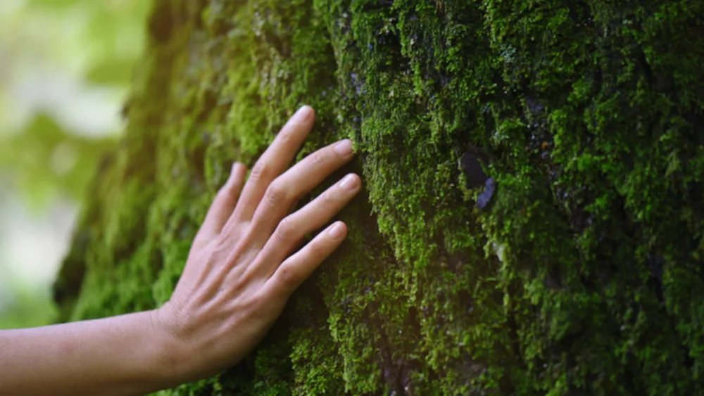 ΠΕΔΜΕΔΕ ECO: Επιτυχής ολοκλήρωση του πιλοτικού προγράμματος «Το Μυστήριο της Κυκλικής Πόλης» με τη συμμετοχή 270 μαθητών