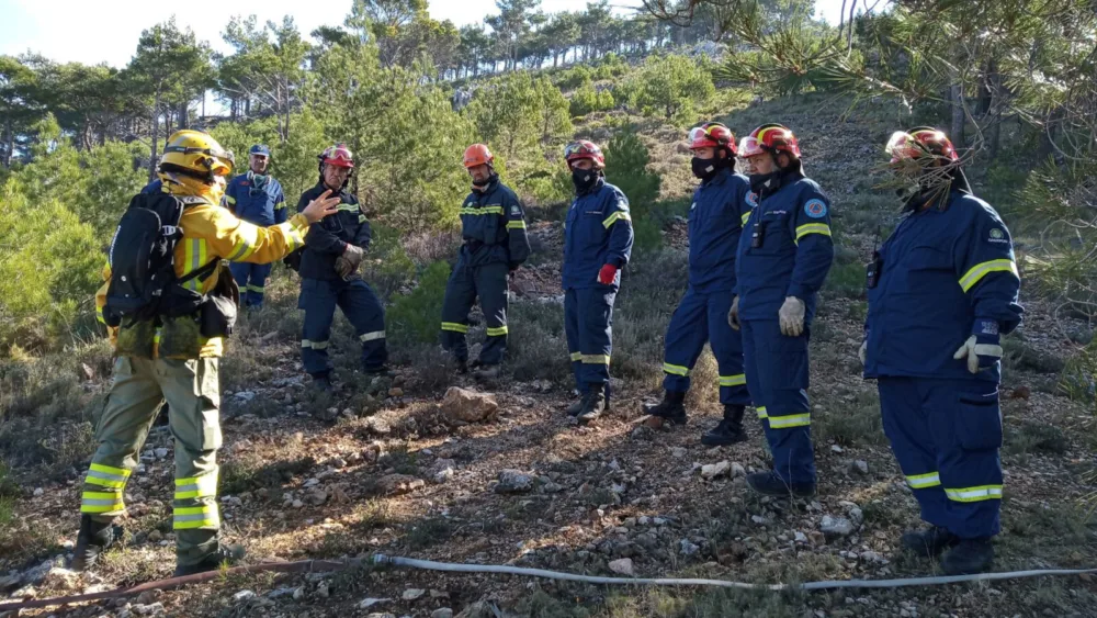 Ολοκληρώθηκε επιτυχώς μία ακόμη δράση από την Procter & Gamble και τη WWF Ελλάς για την προστασία των δασών