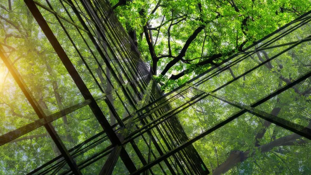 Nature-positive economy: Ένα νέο οικονομικό μοντέλο ανατέλλει