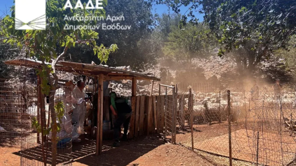 ΑΑΔΕ: Διενεργήθηκε ο πρώτος μαζικός επιτόπιος έλεγχος για αγροτικές επιδοτήσεις