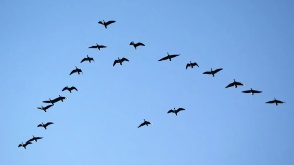 Αληθινή Ηγεσία