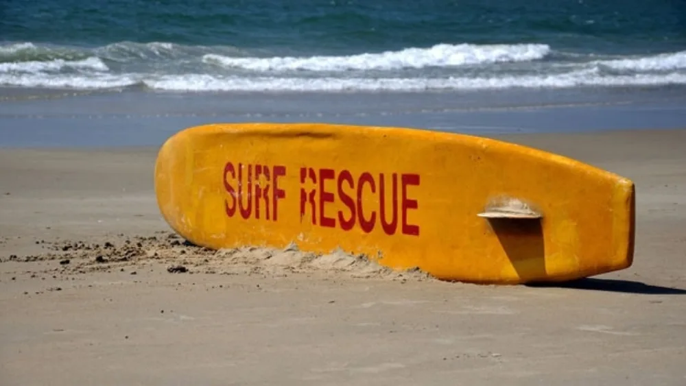 Επιχειρηματικότητα, μια "σανίδα προσωπικής ελευθερίας"