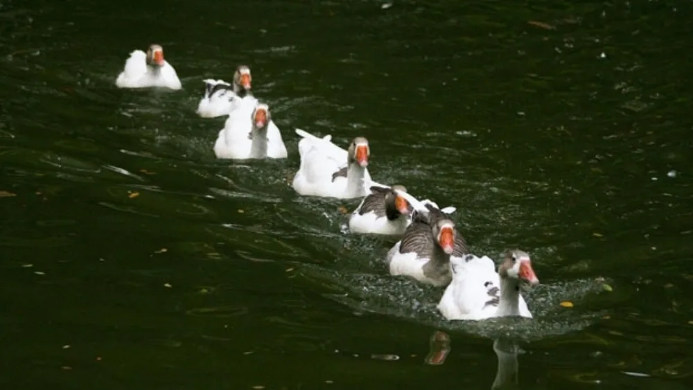 Ο ηγέτης σε εποχές αλλαγής