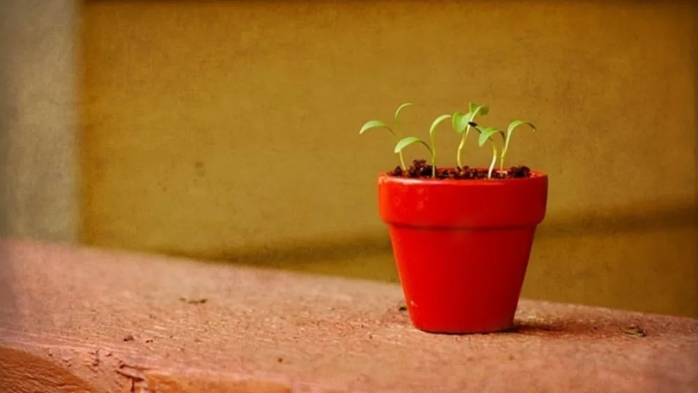 Ξεκινώντας ένα "Startup"