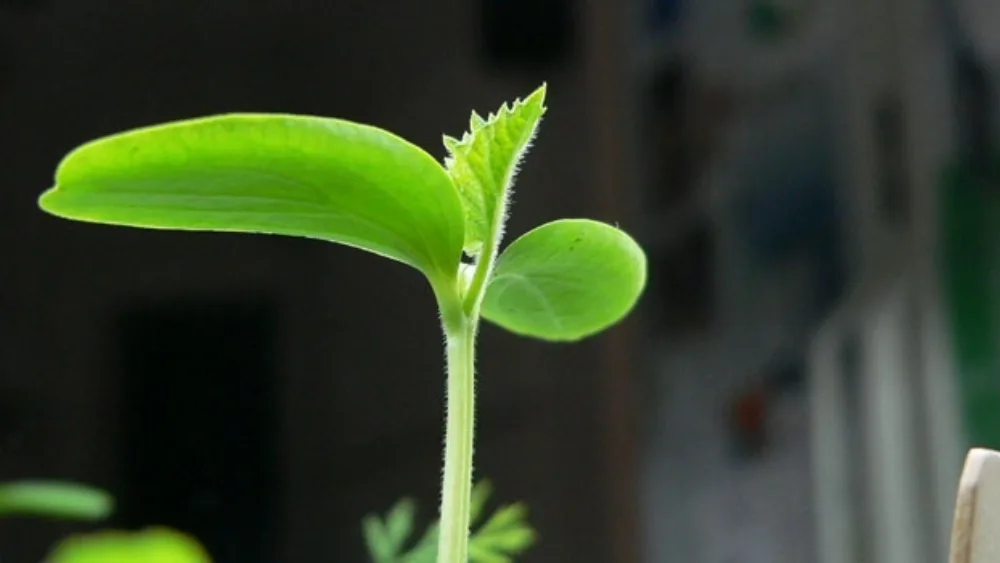 7 Βήματα για τη δημιουργία μιας βιώσιμης επιχείρησης