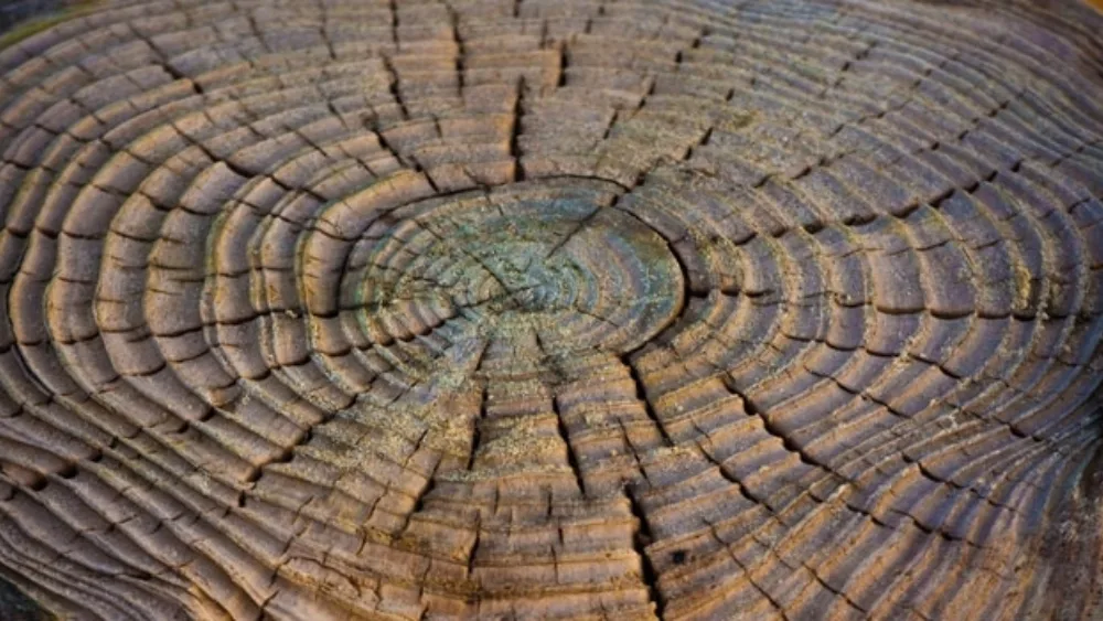 Έχει η επιχειρηματικότητα ηλικία;