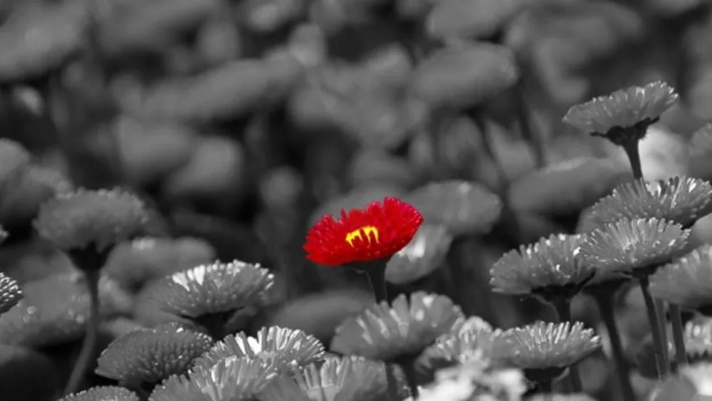 Ενισχύστε τη δύναμη της επιχείρησής σας μέσα από την εικόνα του εαυτού σας