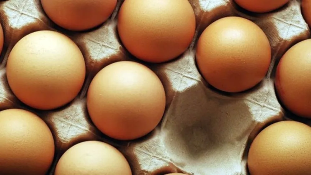 Το συστατικό που λείπει