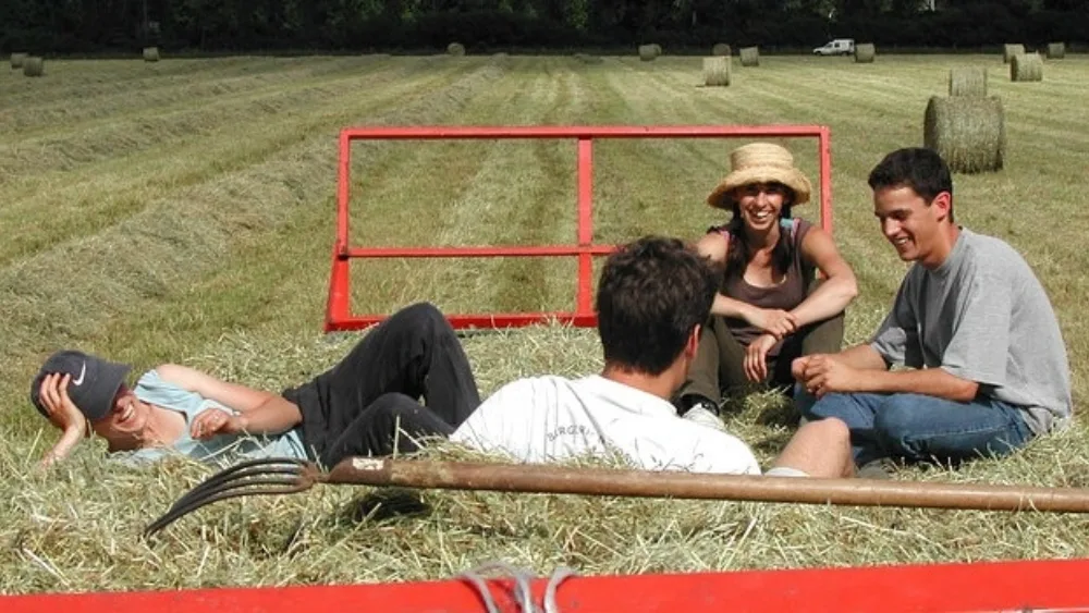 Η συνέργεια ως στρατηγική ανάπτυξης αγροδιατροφικών επιχειρήσεων