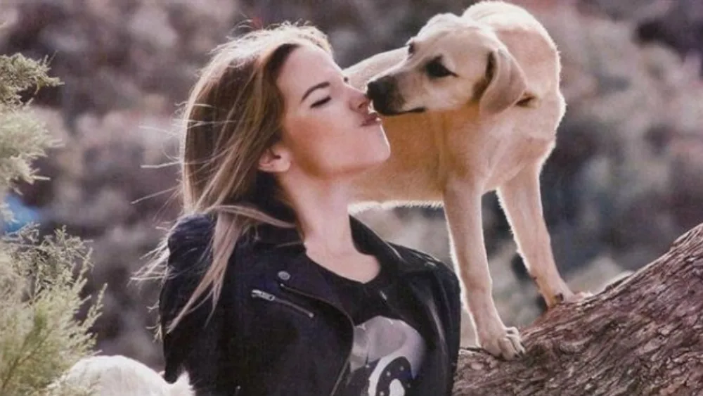 Save a Greek Stray: Η αλλαγή στη ζωή των ζώων έρχεται μέσα από την ευαισθητοποίηση των ανθρώπων