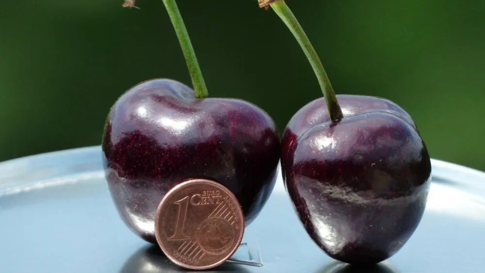 Εταιρική Κοινωνική Ευθύνη και ΜΜΕ: Η Θλιβερή Σύγκριση της Ελληνικής Πραγματικότητας με το Εξωτερικό