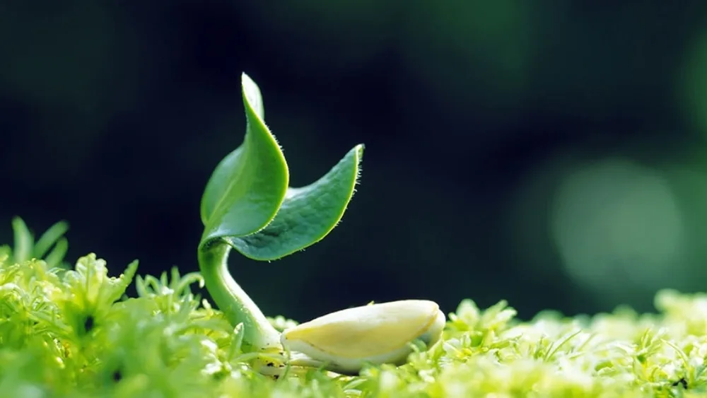 Early Stage Startups: Οδηγίες Προς Ναυτιλλομένους