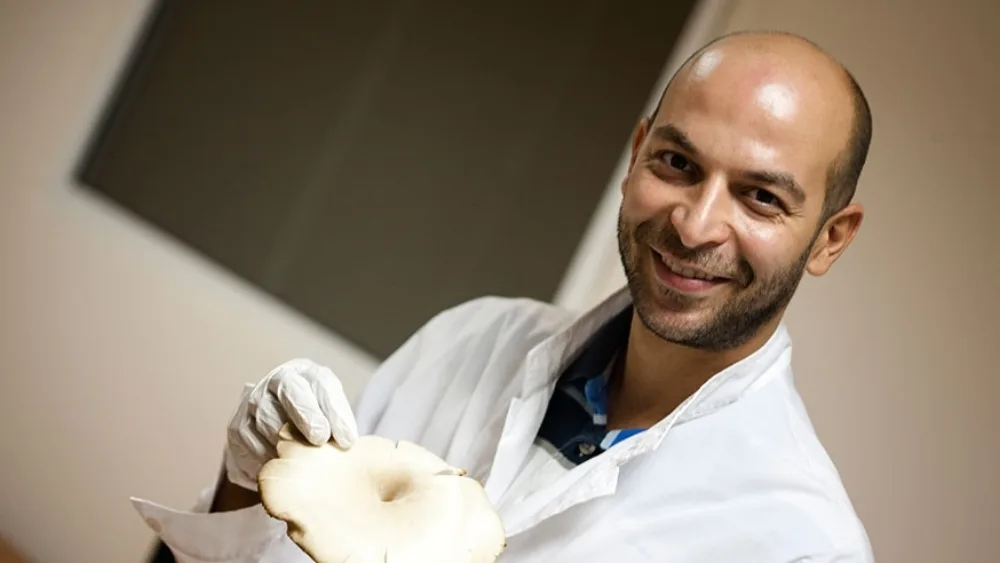 Mushroom Art: Τα μανιτάρια που καλλιεργούνται στην πόλη