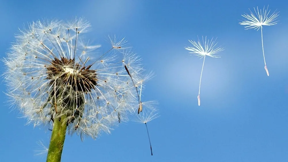 Νέα επενεδυτικά εργαλεία για την επανεκκίνηση της οικονομίας