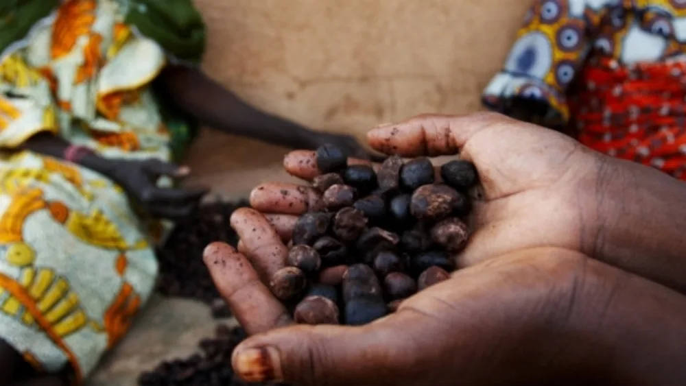 Είναι η Αφρική το μέλλον της κατανάλωσης και των εξαγωγών;
