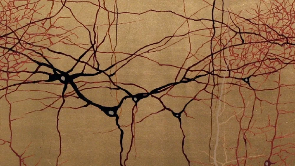 Η δύναμη της νευροεπιστήμης: Ελέξτε την απόδοσή σας με δύο λέξεις