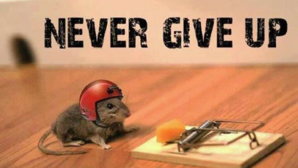 3 απαραίτητα στοιχεία επίτευξης στόχων