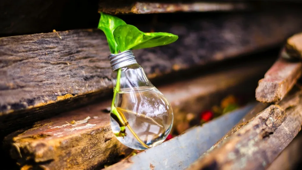 Ποια είναι τα στοιχεία που χαρακτηρίζουν τις καινοτόμες ομάδες;