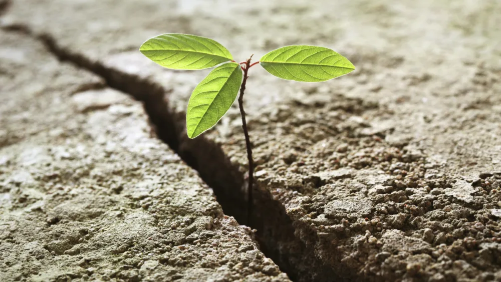 Sustainability Forum 2018: Το μεγαλύτερο business event της χρονιάς είναι εδώ!
