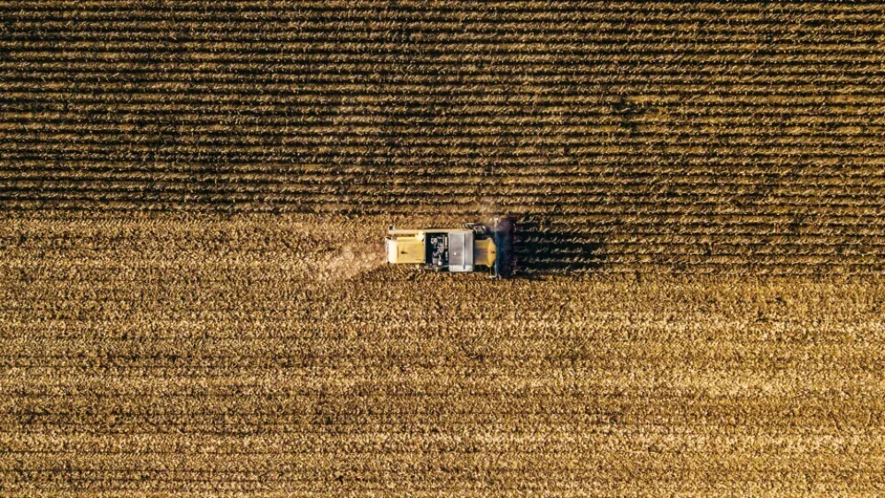Βιολογικά προϊόντα: Υπάρχουν σημαντικά οφέλη σε σύγκριση με τα συμβατικά;
