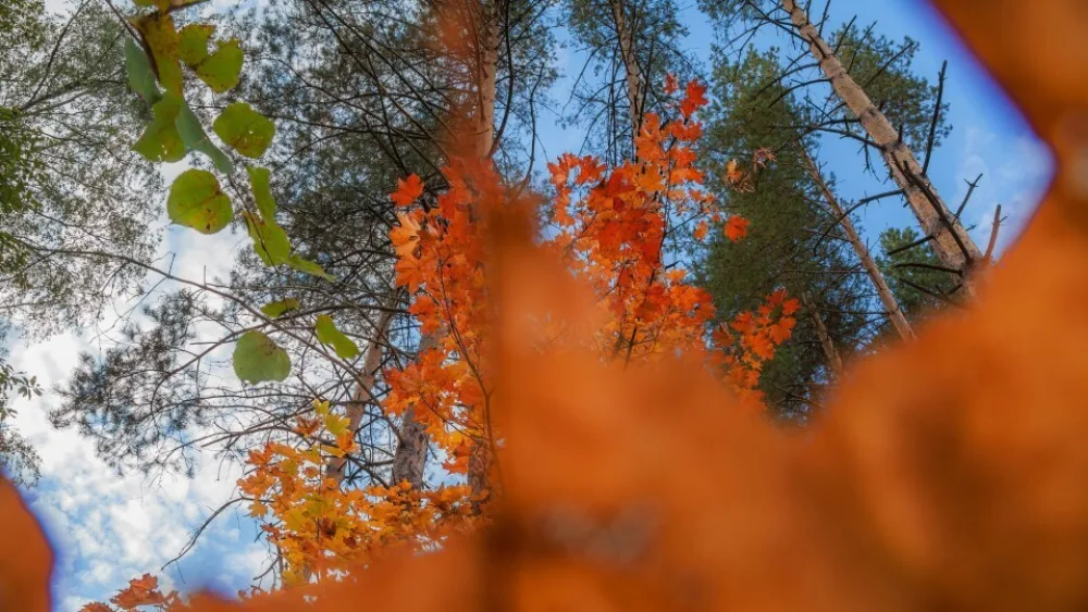 Σεπτέμβρης: Εννέα «ποιότητες» για να το πάρεις αλλιώς
